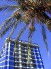 Marina Marbella (Marbella)