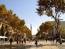 Rambla de Catalunya (Barcelona)