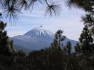 Teide (Tenerife)