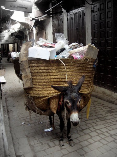 Garbage donkey