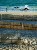 Tarifa